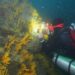 Descubre el Fascinante Mundo del Buceo en Ceuta