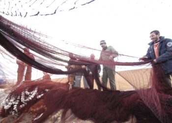 Descubre lo Último en Ceuta: Clima, Noticias y Más