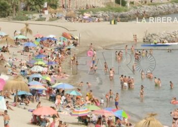 Vacaciones de Verano: Experiencias y Planes de Niños en el Campamento Educactiva